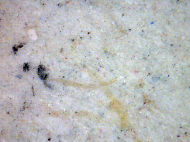 チップボール　グレー厚紙　グレー台紙　拡大写真