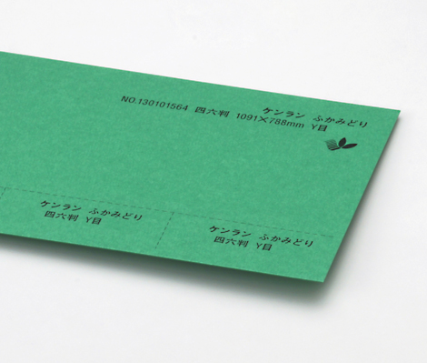 D_kenran_fukamidori_180