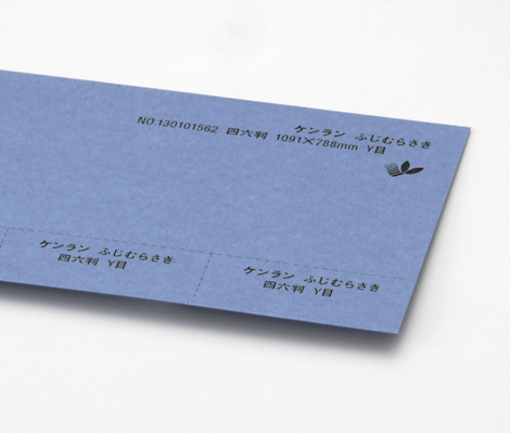 D_kenran_fujimurasaki_225